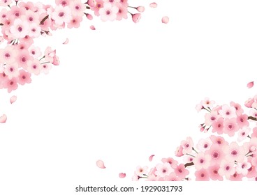 Hand-drawn Cherry Blossom Frame. “white background”