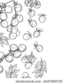 Hand-drawn cherry tomatoes on a branch.  Vector background. Sketch  illustration.  