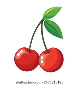 hand-drawn cherry vector, detailed cherry vector, high-resolution cherry vector