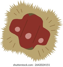 Hand-Drawn Chestnut Burr with Visible Nut Inside
