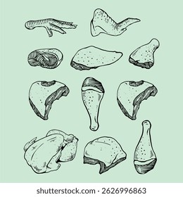 Hand-Drawn Chicken Cuts Illustration on a Light Green Background