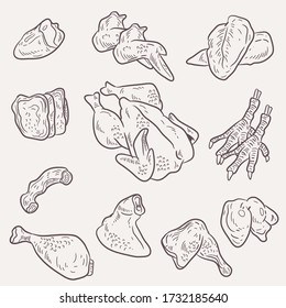 Hand-drawn chicken meat set vector, doodle art uncooked chicken