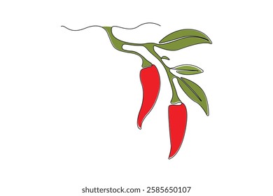 Hand-drawn chili pepper line art drawing. Fresh chili linear icon vector.	