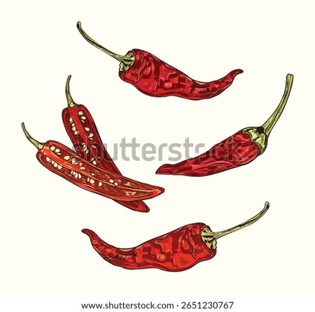 Hand-drawn chipotle pepper illustration set featuring dried peppers, smoke, seeds, and spicy elements. Perfect for culinary design, food packaging, and Mexican cuisine graphics.