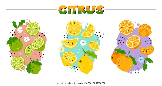 Conjunto de vetores de composições de citrinos desenhado à mão. Ilustrações de laranja, limão e limão com planos de fundo coloridos