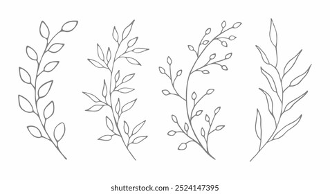 Hand-drawn clipart with branches with leaves in a minimalist line art style. Decorative botanical elements for nature-themed projects, wedding designs, or botanical art