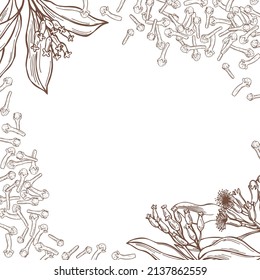 Hand-drawn Clove. The Pods And Flowers. Vector Background. Sketch  Illustration.