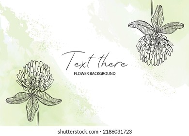 Hand-drawn clover on green watercolor background. Design abstract flower Vector illustration