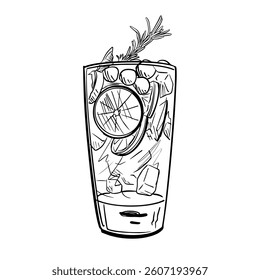 Hand-drawn cocktail illustration in a tall glass with ice, citrus slice, and herbs. Vintage line art style, vector illustration isolated on white background.