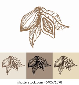 Hand-drawn cocoa