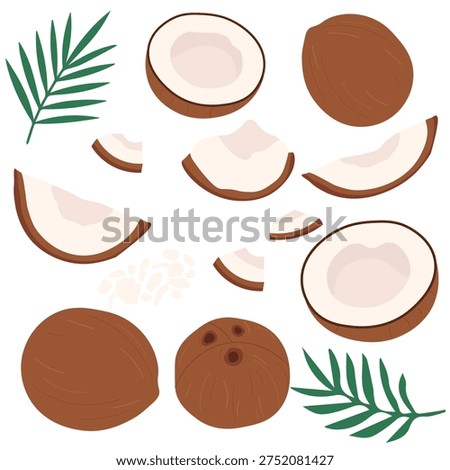 Hand-drawn coconut set. Collection of fresh coconuts, coconut palm leaves, coconut halves, half and pieces, coconut flakes isolated on white background. Perfect for summer design, tropical vacation graphics, menus, packaging, stickers and travel projects.