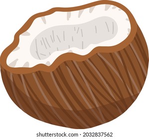 Ilustración vectorial de coco dibujada a mano. Ingrediente orgánico de granja para el jugo. Ilustración de dieta vegetariana.