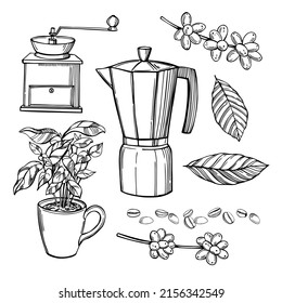 Café hecho a mano.  Ilustración de esbozo del vector.