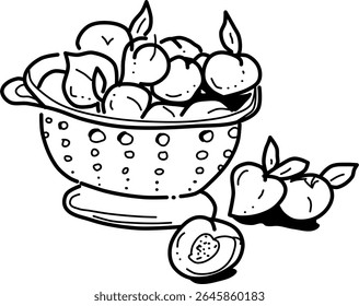Coentro desenhado à mão de pêssegos vetor doodle. Um escorredor cheio de pêssegos doces e suculentos. Pêssegos prontos para a compota.