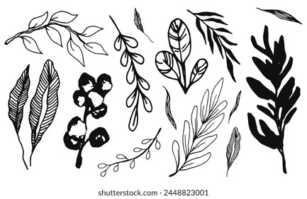 A hand-drawn collection of botanical elements in ink, including a variety of leaves and floral designs, perfect for diverse creative projects