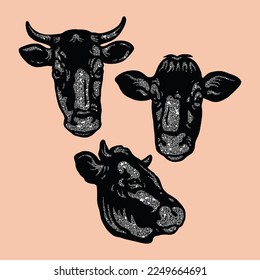 hand-drawn collection of close-up cow heads. illustration images of cow faces' shadows