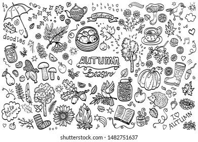 Hand-drawn collection of doodle objects on the theme of autumn. Set of isolated vector  elements and objects.