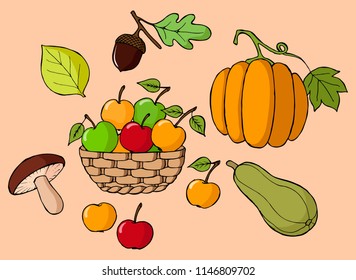 Hand-drawn collection of Fall Harvest illustrations. Isolated objects. Vector colorful cartoon doodles. Autumn sketches.