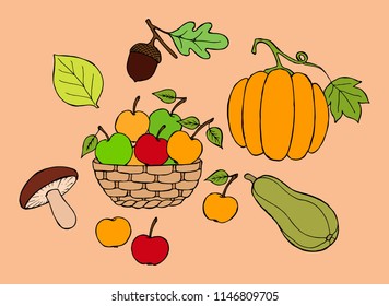 Hand-drawn collection of Fall Harvest illustrations. Isolated objects. Vector colorful cartoon doodles. Autumn sketches.