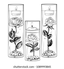 A hand  drawn collection floating candles in glass vases    flasks and live roses  artificial pearls   sea pebbles  Vector drawings in sketch style  
