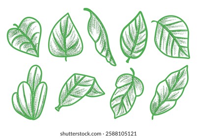 Hand-drawn collection of green leaves, variety of beautifully illustrated green leaves, perfect for nature-themed designs or decor.