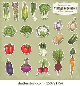 Hand-drawn collection of icons vegetables, vector illustration in vintage style.