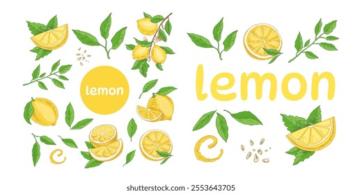 Hand-drawn collection with lemons, mint leaves, and citrus elements