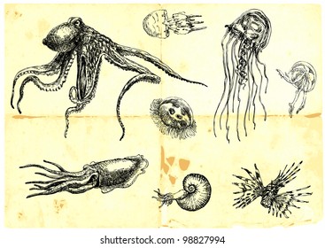 Hand-drawn collection. Marine life - SEA MONSTERS.