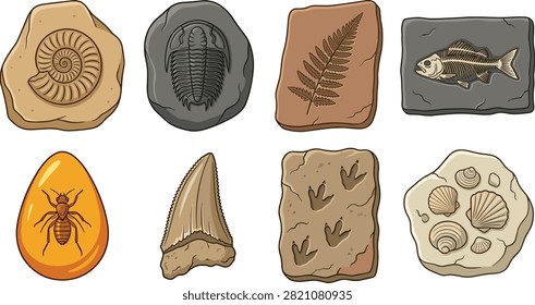 Hand-drawn collection of prehistoric fossils featuring an ammonite, trilobite, fern imprint, fish skeleton, insect in amber, fossil tooth, animal footprints, and seashell impressions. Ideal for paleontology lessons, geology materials, museum graphics, science worksheets, and natural history designs.