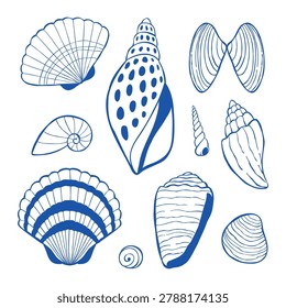 Hand-drawn collection of seashells of different types and shapes. Vector line illustration clip art with ocean elements for print, web, packaging design, or coloring book.