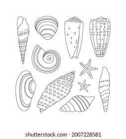 Hand-drawn collection of seashells and starfish. Underwater conches of mollusk and sea snail. Ocean vector elements isolated on white. Line art. Concept of marine life, summertime, summer holidays.