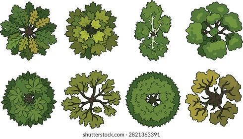 Hand-drawn collection of trees viewed from above, featuring varied crown shapes, foliage densities, colors, and visible branch structures. Ideal for landscape plans, garden maps, architectural layouts, park designs, game environments, and botanical graphics.

