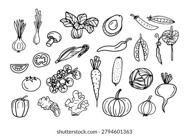 Hand-drawn collection of vegetables and produce in a simple doodle art style