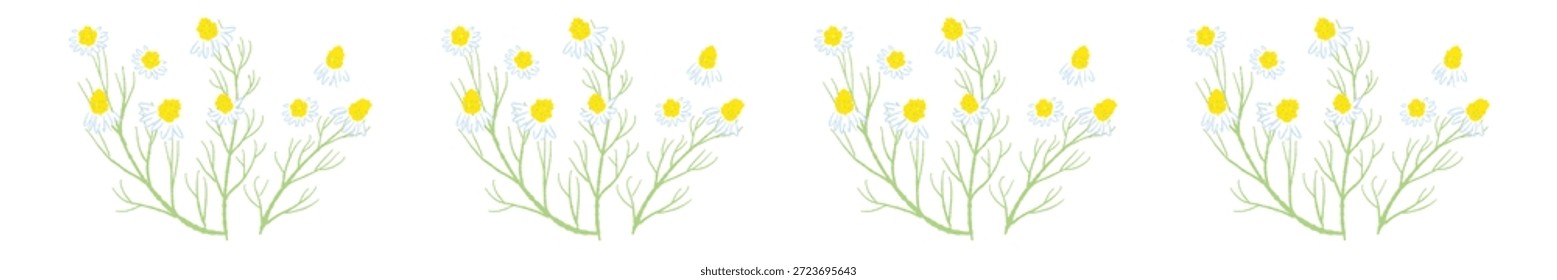 Ilustrações coloridas de camomila desenhadas à mão (molduras, coroas, padrões, etc.)