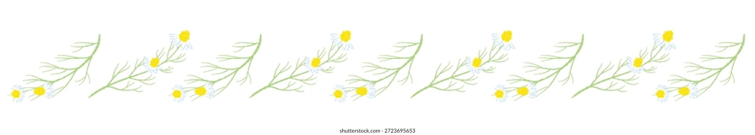 Ilustrações coloridas de camomila desenhadas à mão (molduras, coroas, padrões, etc.)