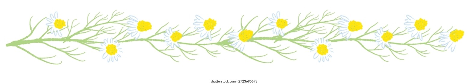 Ilustrações coloridas de camomila desenhadas à mão (molduras, coroas, padrões, etc.)