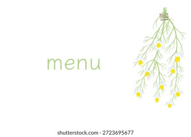 Ilustrações coloridas de camomila desenhadas à mão (molduras, coroas, padrões, etc.)