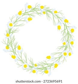 Ilustrações coloridas de camomila desenhadas à mão (molduras, coroas, padrões, etc.)