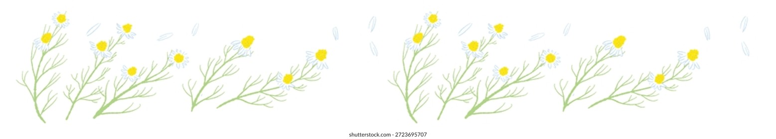 Ilustrações coloridas de camomila desenhadas à mão (molduras, coroas, padrões, etc.)