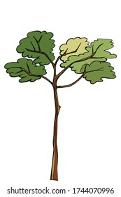 Hand-drawn color tree. Vector illustration