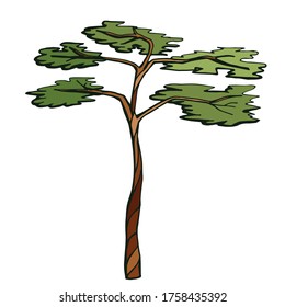 Hand-drawn color tree. Vector illustration