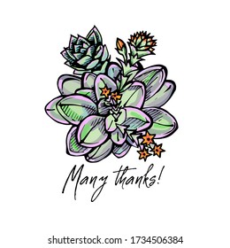 Handdrawn colored greeting card with flatlay ink succulent and handwritten text isolated on white background. Inscription: Many thanks. Vector illustration