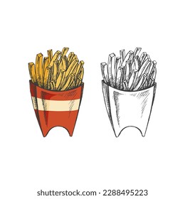 Hand-drawn colored  and monochrome sketch set of  french fries in a box  isolated on white background. Fast food illustration. Vintage drawing. Great for menu, poster or restaurant background.