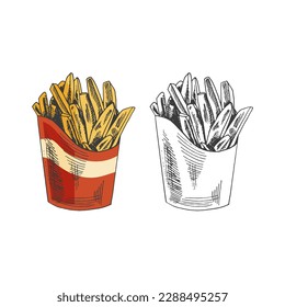 Hand-drawn colored  and monochrome sketch set of  french fries in a box  isolated on white background. Fast food illustration. Vintage drawing. Great for menu, poster or restaurant background.