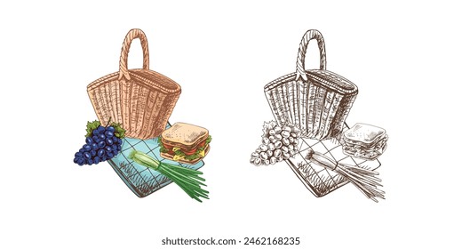 Hand-drawn colored and monochrome sketches of barbecue and picnic elements. Picnic basket, sandwich, feather onion, bunch of grapes, tablecloth. For design of menu of restaurants and cafes.