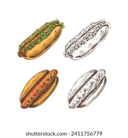 Hand-drawn colored and monochrome sketches of hot dogs isolated on white background. Fast food illustration. Vintage drawing. Great for menu, poster or restaurant background.