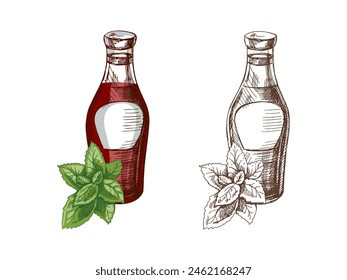 Hand-drawn colored and monochrome sketches of ketchup or sauce in a glass jar and a bunch of mint. For the design of the menu of restaurants and cafes, grilled food.