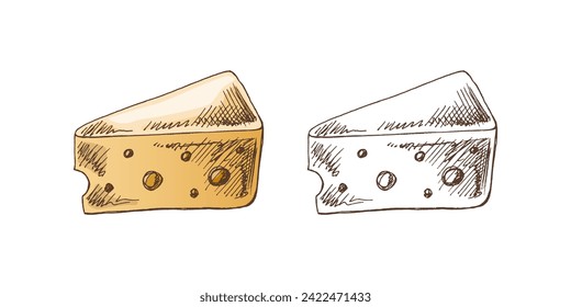Hand-drawn colored and monochrome vector sketch of a piece of chees. Doodle vintage illustration. Decorations for the menu of cafes and labels. Engraved image.