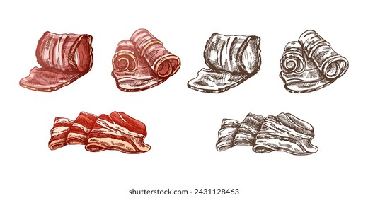 Handgezeichnete farbige und monochrome Vektor-Skizze-Set aus Speck, Hamon oder Schweinefleisch, Schinkenscheiben. Italienischer Prosciutto Vintage Sketch. Fleischerei. Ideal für Label, Restaurant Menü. Graviertes Bild.