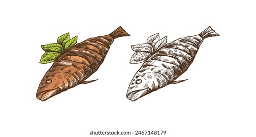 Hand-drawn colored and monochrome vector sketch of barbecue fish. Doodle vintage illustration. Decorations for the menu of cafes and labels. Engraved image.
